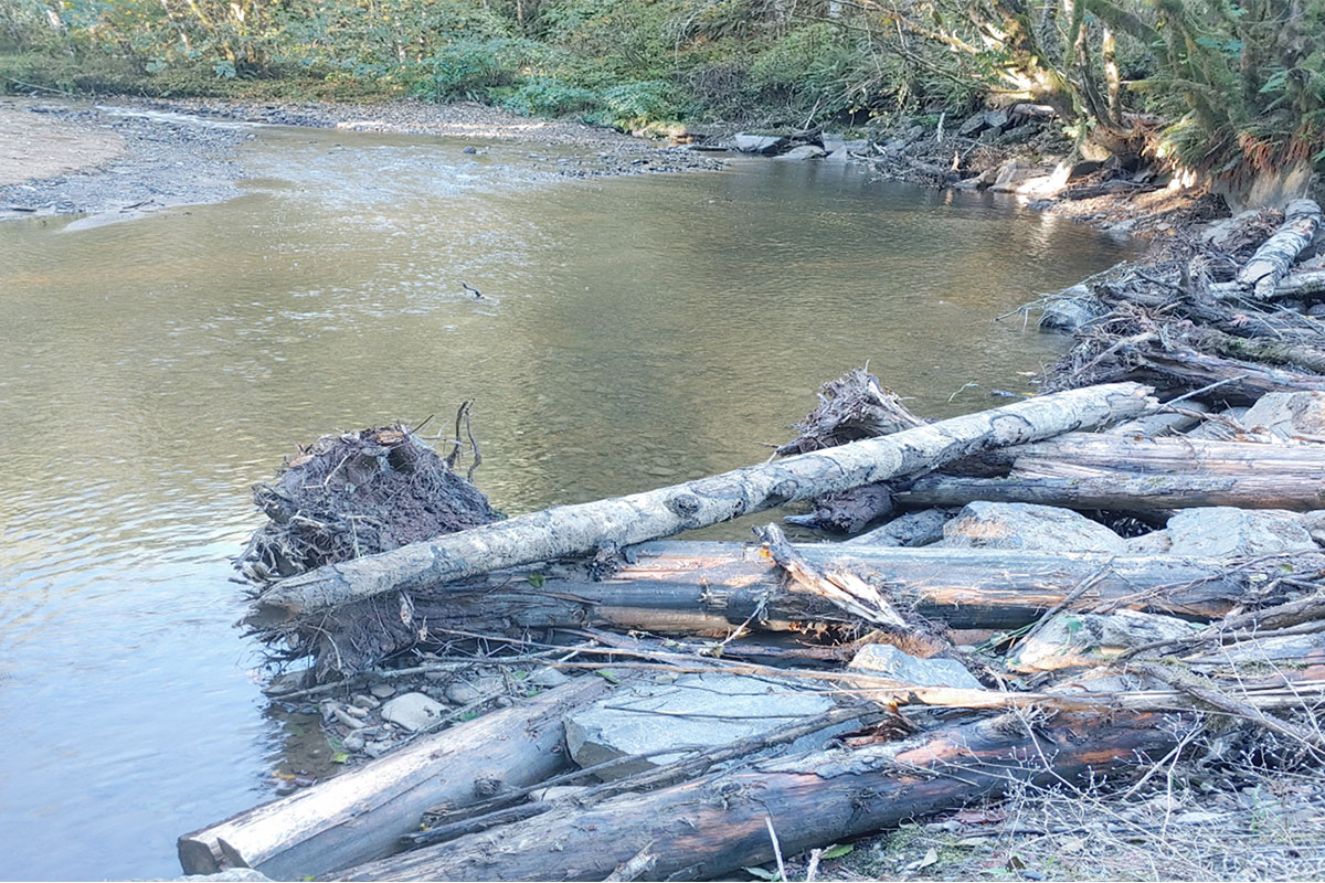 Klaskanine Fish Hatchery Intake 2 Creek Restoration thumbnail